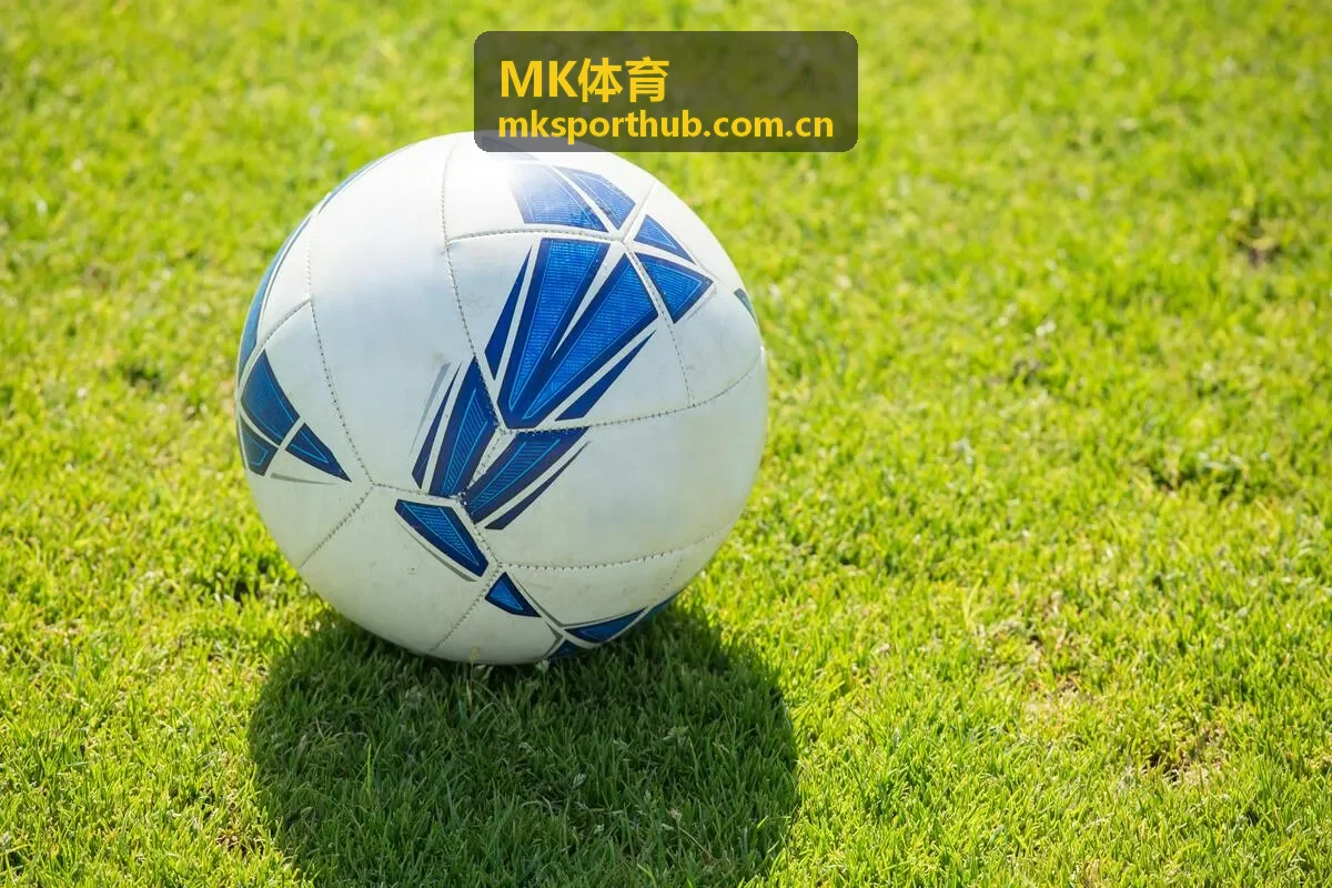 MK体育最新赛事资讯精选图片